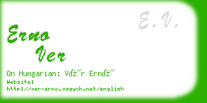 erno ver business card